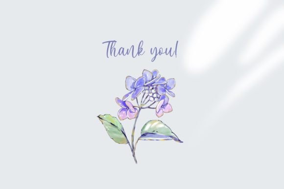 Hydrangea Flowers Watercolor Clipart