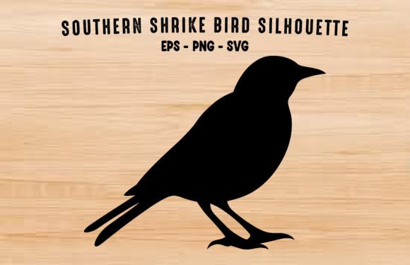 Shrike Bird Silhouette SVG Black Clipart