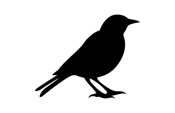 Shrike Bird Silhouette SVG Black Clipart
